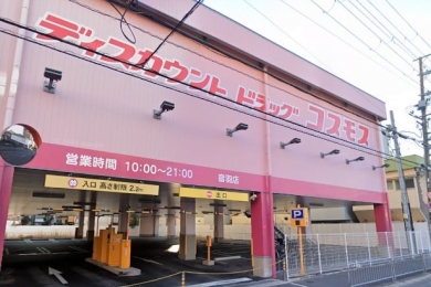 ディスカウントドラッグコスモス音羽店